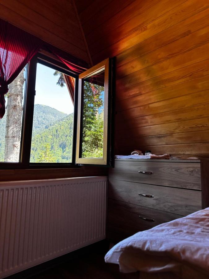 Aparthotel Maneviga Cafe & Apart Uzungöl Exteriér fotografie