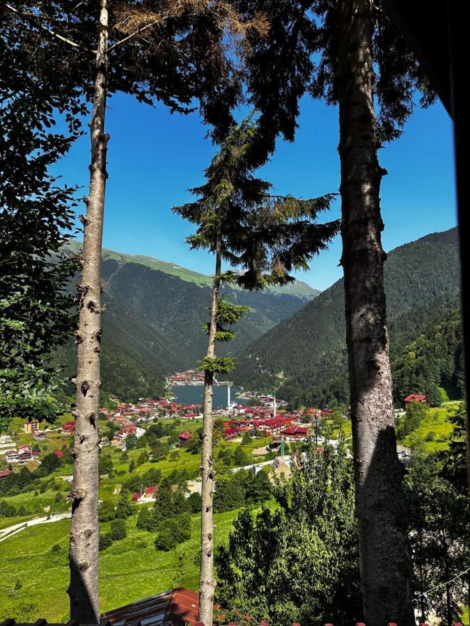 Aparthotel Maneviga Cafe & Apart Uzungöl Exteriér fotografie